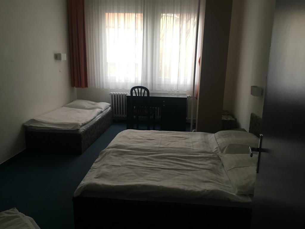 צ'סקה בודיוביצה Hotel U Tri Lvu מראה חיצוני תמונה