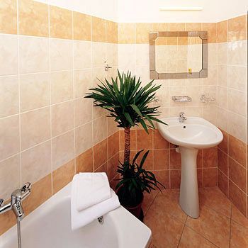 צ'סקה בודיוביצה Hotel U Tri Lvu מראה חיצוני תמונה